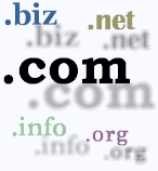 Domain Name Registration